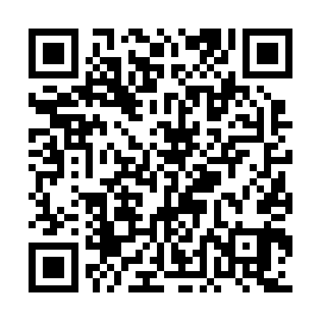 QR code for PDF241