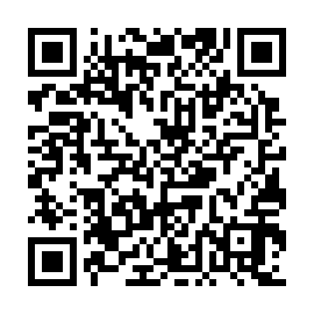 QR code for PDG312