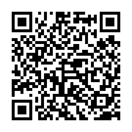 QR code for PDG658