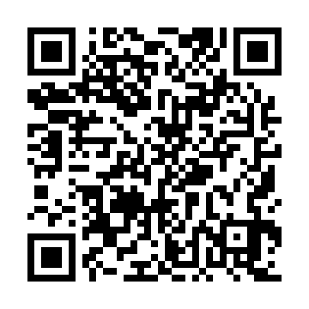 QR code for PDI133