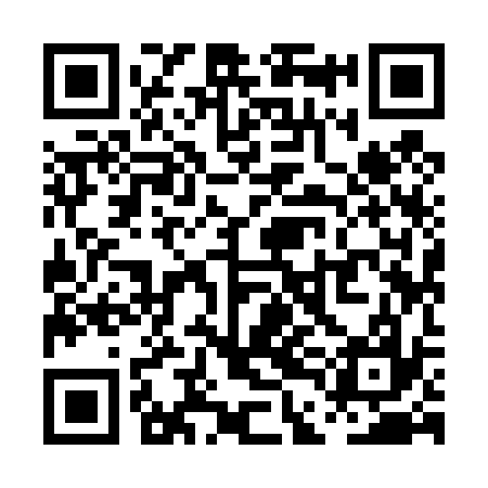 QR code for PDI437