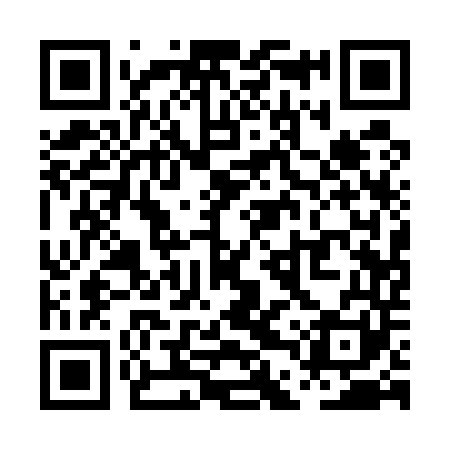QR code for PDQ541