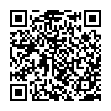 QR code for PEF387