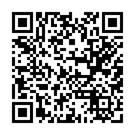 QR code for PFE381