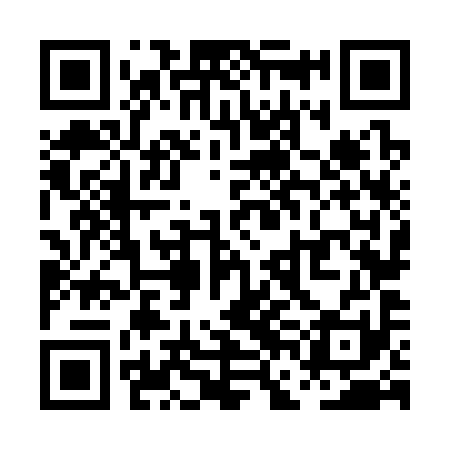 QR code for PFN391