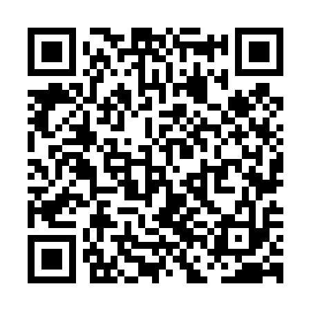 QR code for PFN413