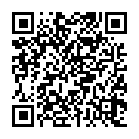 QR code for PGF538