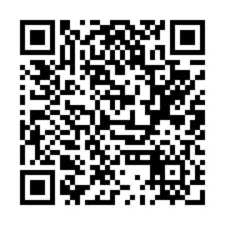 QR code for PGI406