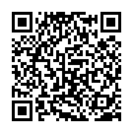 QR code for PGK539
