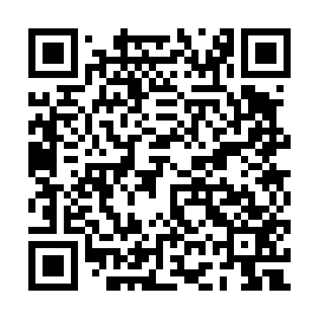 QR code for PGS453
