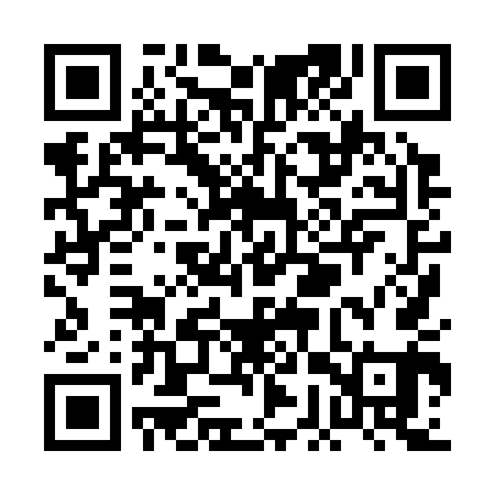 QR code for PGX341
