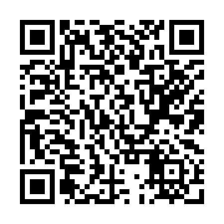 QR code for PGZ991