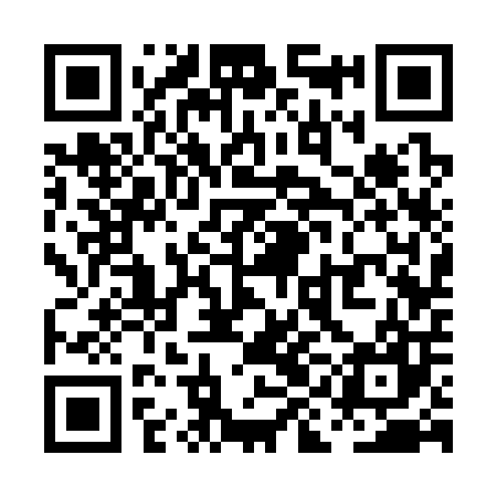 QR code for PIC307