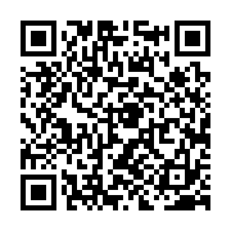 QR code for PID333