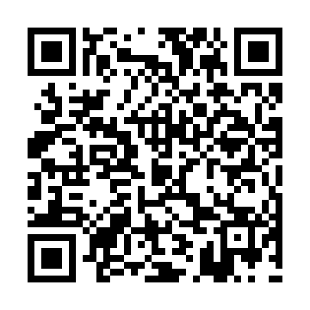 QR code for PIE243