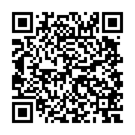 QR code for PIF448