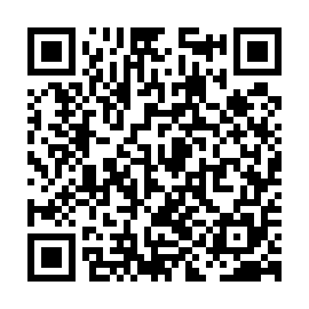 QR code for PIG555