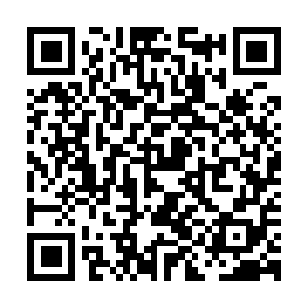 QR code for PIG958