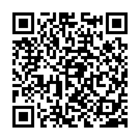 QR code for PII319