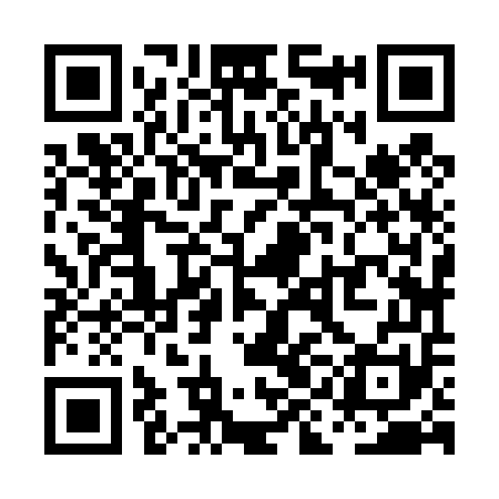 QR code for PIJ451