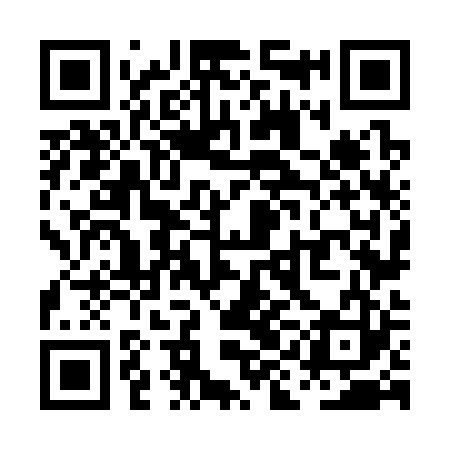 QR code for PIN323