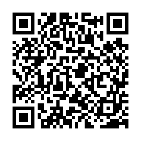 QR code for PIN653