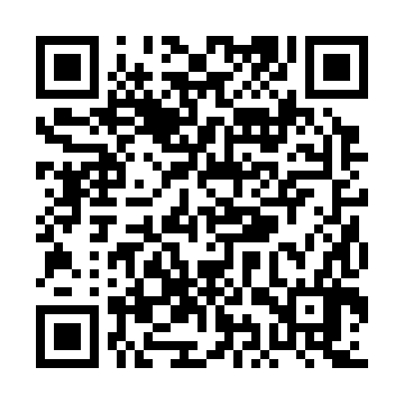 QR code for PIR386