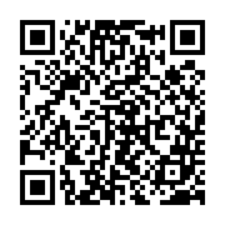 QR code for PIS542