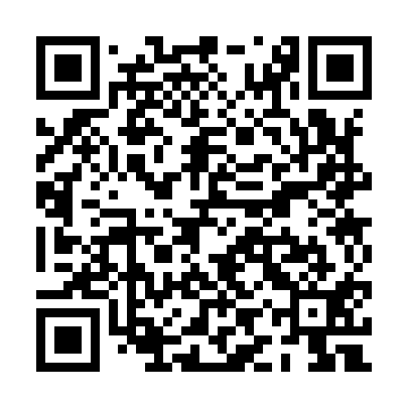 QR code for PIS911