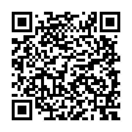QR code for PIT591