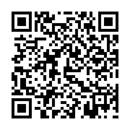 QR code for PIX387