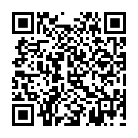 QR code for PIZ310