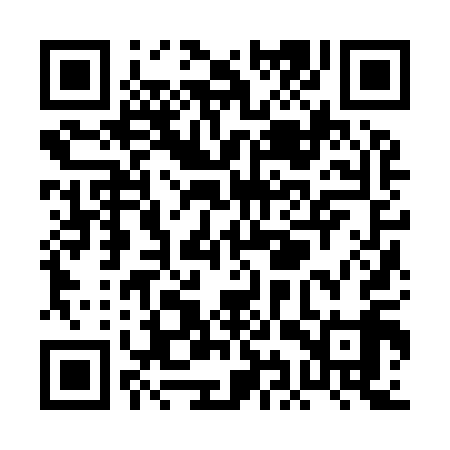 QR code for PIZ919