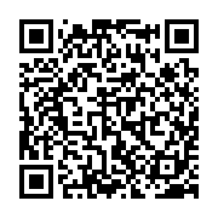 QR code for PKA391