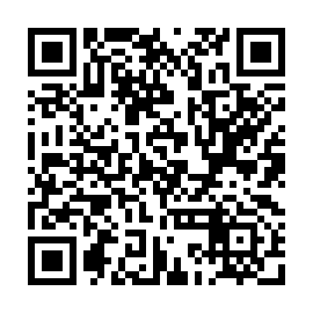 QR code for PKJ393