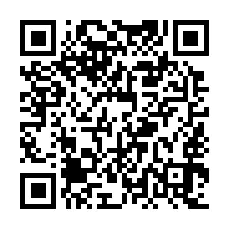 QR code for PLN393