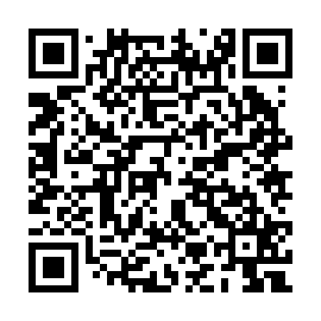 QR code for PMZ225