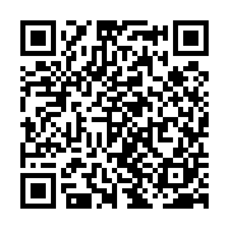 QR code for PNK500