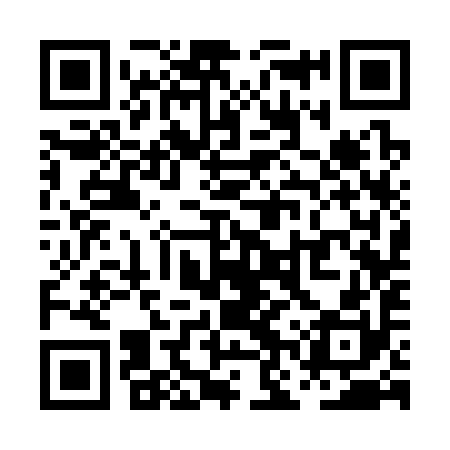 QR code for PNS390