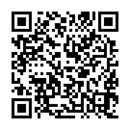 QR code for PNV393