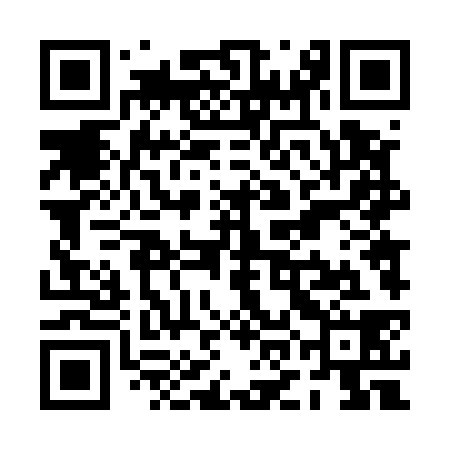 QR code for POD538