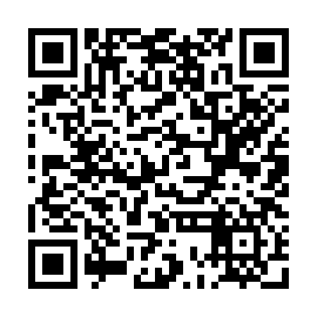 QR code for POI387