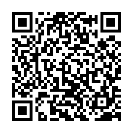 QR code for POO594