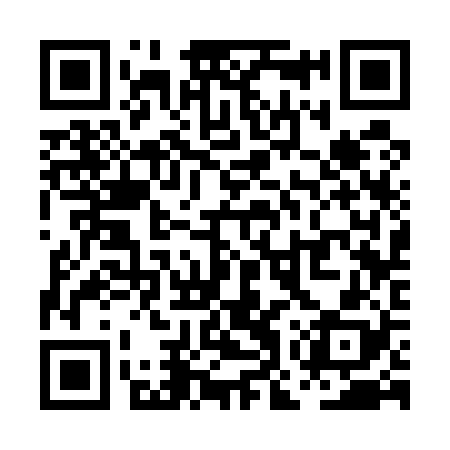 QR code for POS528