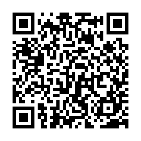 QR code for POW384