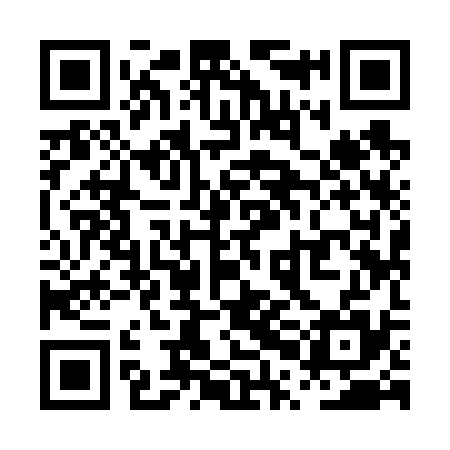 QR code for PPI635