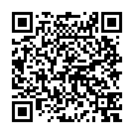 QR code for PPI738