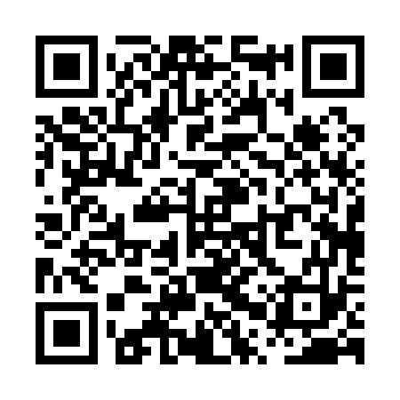QR code for PPP173