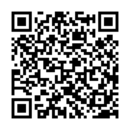 QR code for PPP430