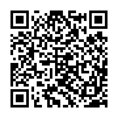 QR code for PPP697